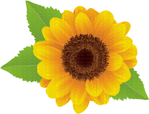 sunflower - gratis png