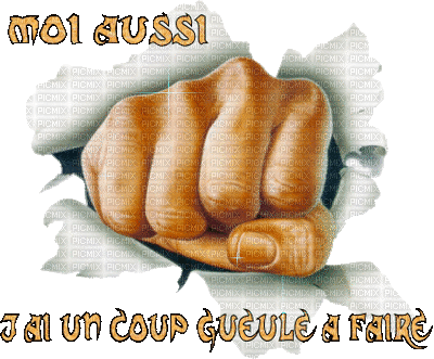 coup de gueule - 無料のアニメーション GIF
