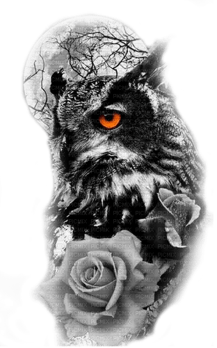 gothic owl by nataliplus - ücretsiz png