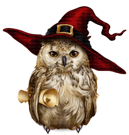 OWL - Bird - 免费PNG