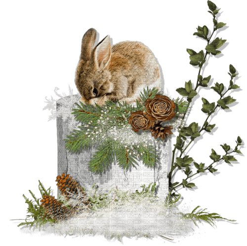 gala animals rabbit - darmowe png