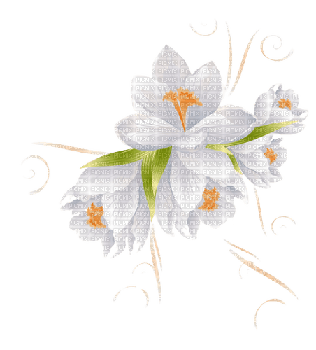 white flowers 6 - gratis png