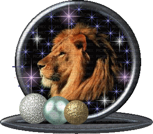 lion bp - Bezmaksas animēts GIF