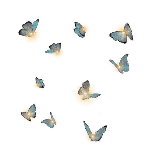Nina butterfly - ücretsiz png