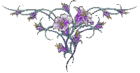 Barre fleurs mauves - GIF animado grátis