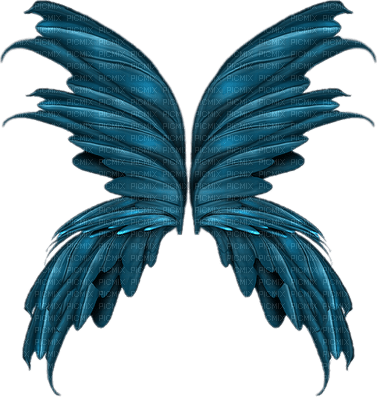 ailes ( - PNG gratuit