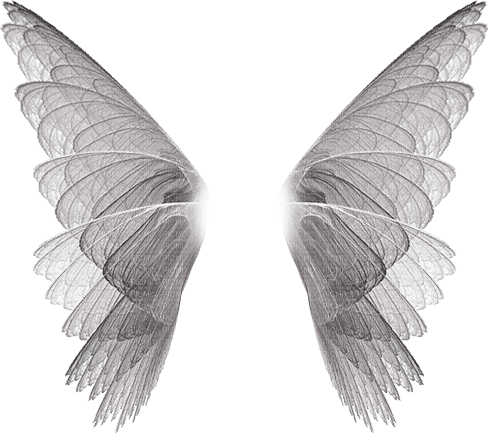 Wings 🏵asuna.yuuki🏵 - PNG gratuit