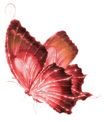 Y.A.M._Fantasy butterfly red - Darmowy animowany GIF