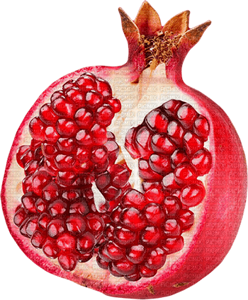 pomegranate Bb2 - Free PNG