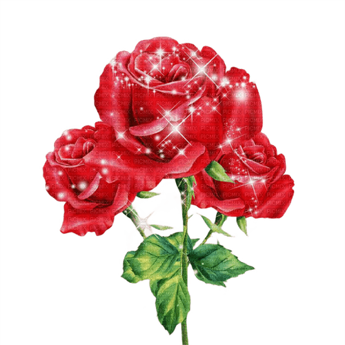 Розы - 無料png