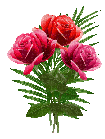 Red.Roses.Bouquet.gif.Victoriabea - GIF animé gratuit