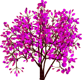 Kaz_Creations Trees Tree Colours - Безплатен анимиран GIF