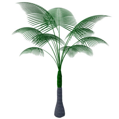tropical, kasvi, plant - PNG gratuit