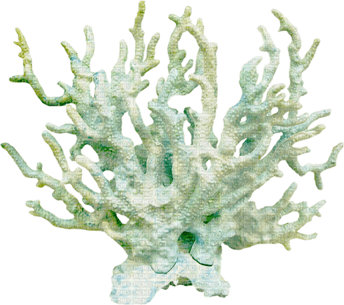 SEABED - zdarma png