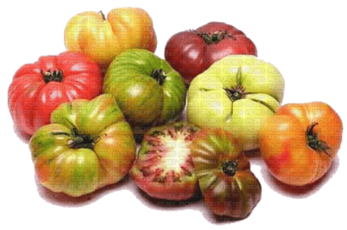 nbl-tomato - 無料png