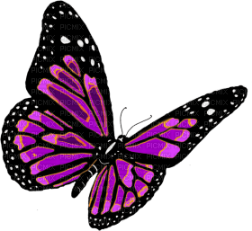 Kaz_Creations Butterfly - png grátis