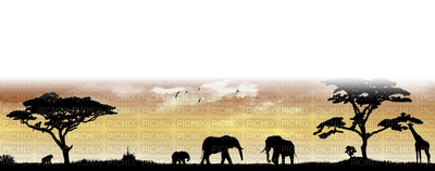 Africa animals bp - PNG gratuit