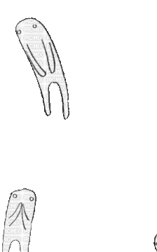 Halloween, ghost, gif, Adam64 - Бесплатни анимирани ГИФ