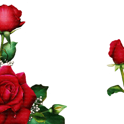 Red Roses - 免费PNG