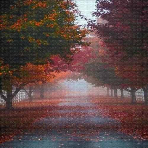 autumn background - png ฟรี