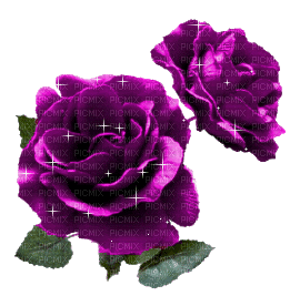Purple Rose Glitter - Besplatni animirani GIF