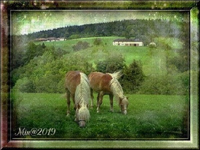 färdig bg--sommar landskap-hästar - ingyenes png