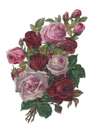 vintage roses - png grátis