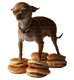 Kaz_Creations  Dogs Dog Pup - бесплатно png