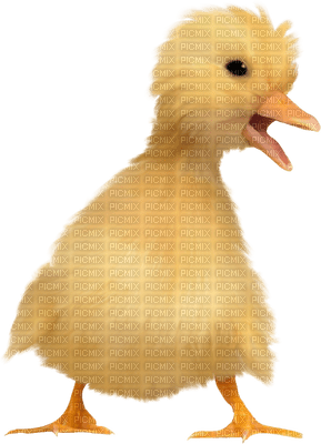 Kaz_Creations Deco Easter Chick - png gratuito