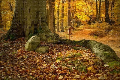 maisema landscape syksy autumn - png gratis