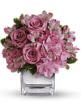 Kaz_Creations  Deco Flowers Vase Colours - nemokama png