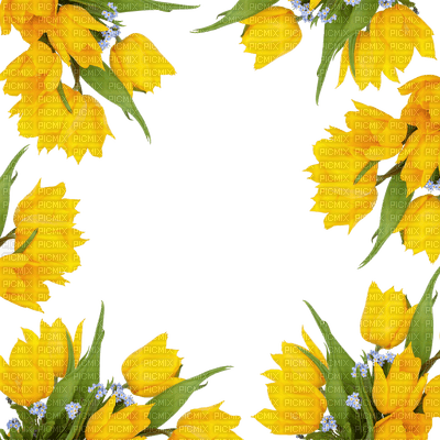 yellow flowers -Nitsa Papakon - png gratis