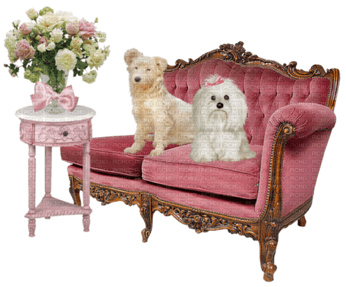 hundar- sitter soffan---dogs sitting on the sofa - png gratis