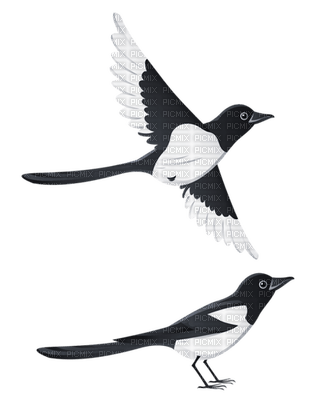 Kaz_Creations Birds Bird - kostenlos png