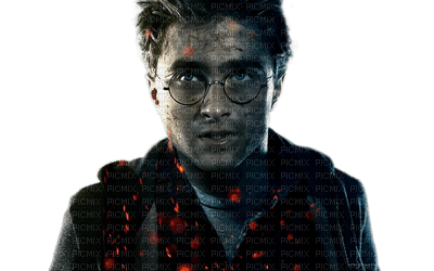 harry potter - 無料png
