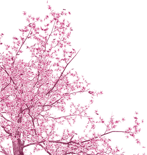 pink tree branch - ingyenes png