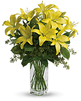Kaz_Creations  Flowers Vase - zadarmo png