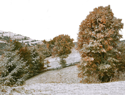 first snow - png gratuito