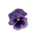 lila-flower7 - PNG gratuit