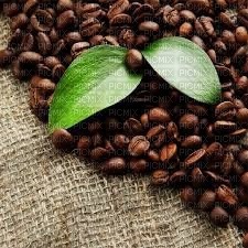 fond coffee bp - PNG gratuit