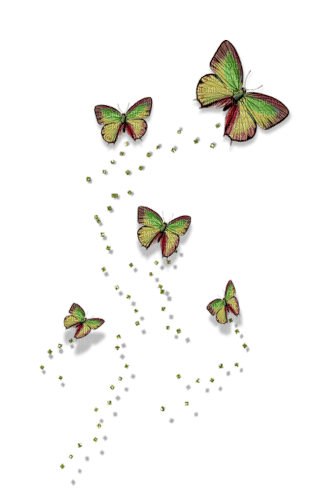 Papillons - kostenlos png