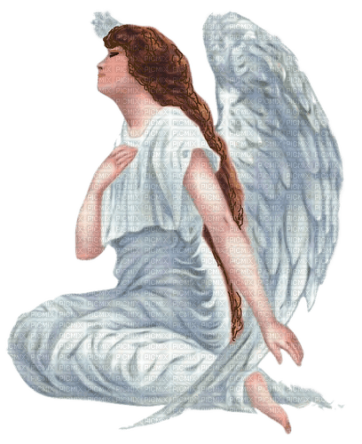 angel white - безплатен png