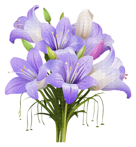 lilies Bb2 - kostenlos png
