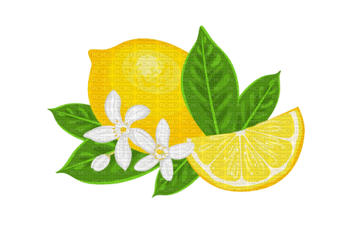 kikkapink lemon fruit deco png - 免费PNG