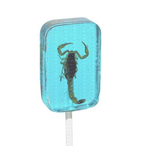 scorpion lollipop - png ฟรี