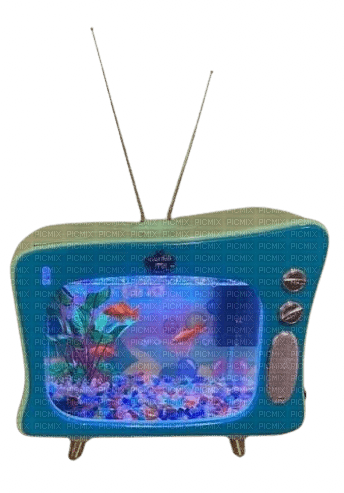 aquarium TV - png gratuito