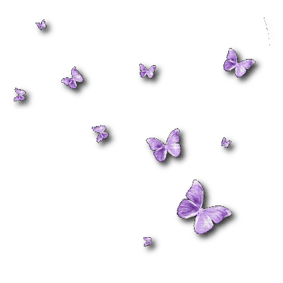 butterflies scrap - gratis png