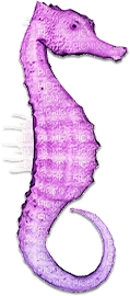 soave deco seahorse underwater summer scrap purple - Free PNG