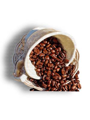kahvipapu, coffee bean - gratis png