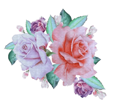 rose.Cheyenne63 - png gratuito